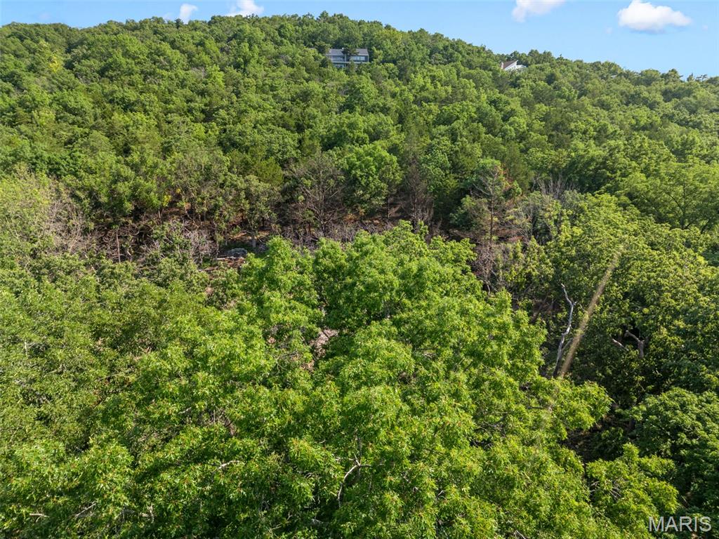 Rockwood Forest 2 - Land