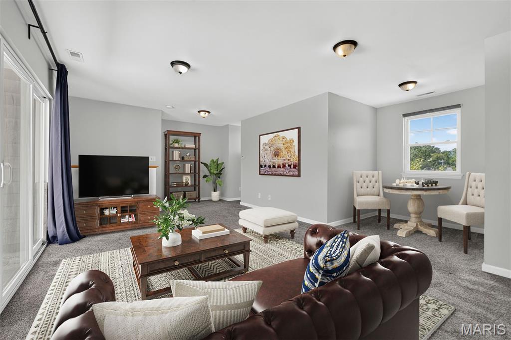Dogtown Terrace Townhomes - Residential