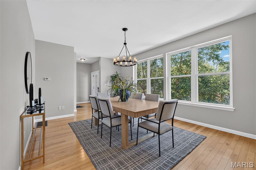 Dogtown Terrace Townhomes - Residential