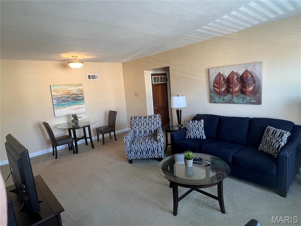 8110 Roxburgh Drive Condo - Residential Income