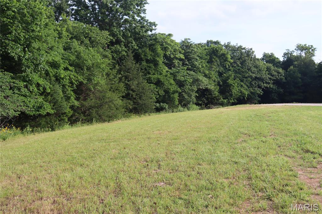 Tanglefoot Farms - Land