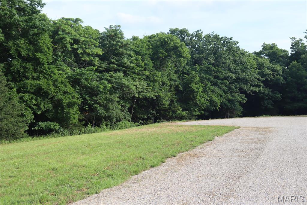 Tanglefoot Farms - Land