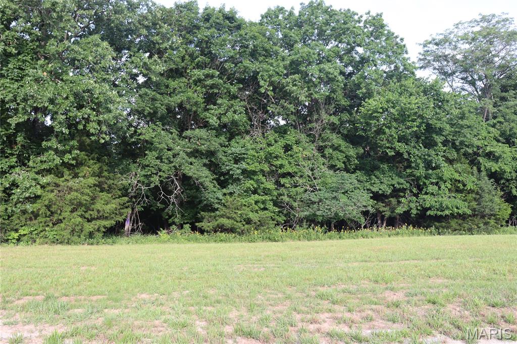 Tanglefoot Farms - Land