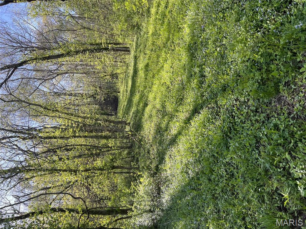 Discover the largest lot in Zoar Ridge Estates—over 4 acres of mature hardwood forest offering privacy and natural beauty just minutes from Troy. This exceptional parcel features dramatic topography with a gentle 52-foot elevation change over 360 feet, creating the ideal setting for an atrium walkout home that captures views of the surrounding woodland.

The lot comes ready to build with underground electric service (25 KVA transformer on-site) and connection to the subdivision's shared well system already in place. Professional boundary and topographic surveys are available, taking the guesswork out of your building plans. The generous acreage provides ample room for your dream home plus a detached garage or outbuilding (with HOA approval).

Zoar Ridge Estates is a well-maintained private community of 23 estate-sized lots accessed via Highway J south of Highway U. The subdivision features private roads with decorative streetlights. Protective covenants ensure quality construction throughout: 1,800 square feet minimum for ranch homes, 2,300 square feet minimum for two-story designs. Bring your own builder.

Located in the heart of Lincoln County's countryside, yet convenient to Troy, Wentzville, and the I-70 corridor. Wildlife abounds—expect regular visits from deer and other native species.