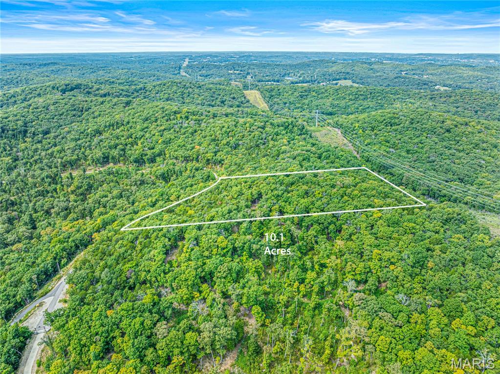A rare chance to own land in Cedar Haven Estates — a private 10-lot community envisioned for large custom homes. With several luxury residences already established, this lot gives you the opportunity to join a neighborhood that blends exclusivity, nature, and convenience. The property features a generous building site surrounded by mature trees, offering peace and privacy without sacrificing accessibility. Utilities are available, and the lot is sized to accommodate a wide range of architectural styles and outdoor living spaces. Located just minutes from major highways, Cedar Haven provides an easy commute while maintaining the charm of a quiet, wooded retreat. Secure your spot in this exceptional neighborhood and bring your dream home to life.  Property is marked with pink flags.