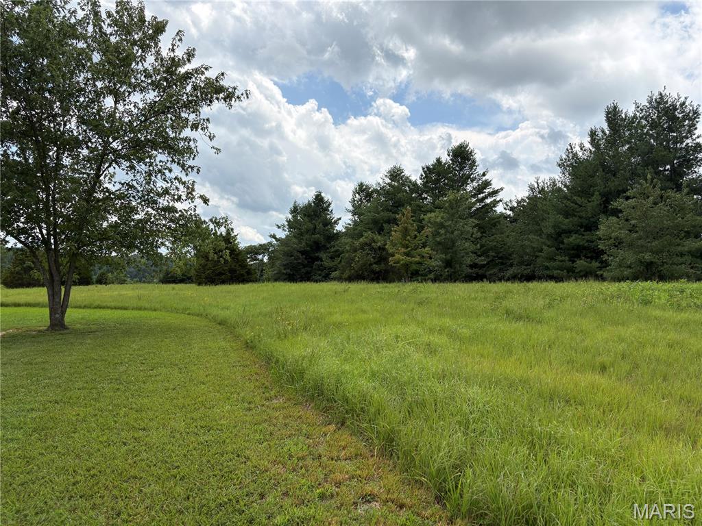 Build the home you've always envisioned on this beautiful 2.79-acre tract nestled in a peaceful rural setting. Mostly level and dotted with scattered shade trees, the property is highlighted by a picturesque row of mature pine trees that creates a natural border and adds to its charm. With no restrictions, you'll have the freedom to build a traditional home, a shouse, or place a manufactured home—the choice is yours. Shared well access and a recent survey provide added convenience, making it even easier to begin planning your future. Whether you're looking for room to spread out, enjoy country living, or create your own private retreat, this versatile property offers endless possibilities.