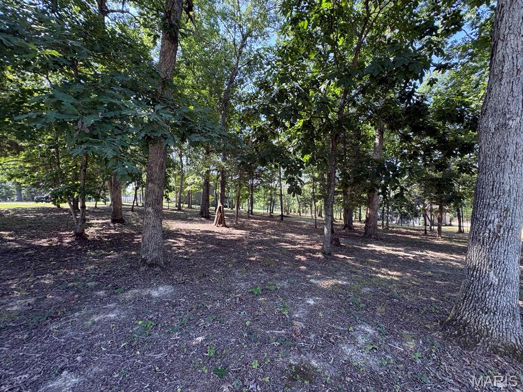 Discover the potential of this 1-acre vacant wooded corner lot in a desirable subdivision with lake access. Surrounded by mature trees, this property offers privacy, natural beauty, and plenty of space to create the home you have been dreaming about.

Enjoy the peaceful setting of an established neighborhood while having access to the community lake for added recreation and enjoyment. Whether you envision a custom home tucked among the trees or a private retreat with room to spread out, Lot 18 Hase's Lair is ready for your plans. Bring your builder and explore the possibilities!