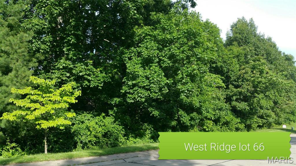 WEST RIDGE AT  THE PALISADES - Land