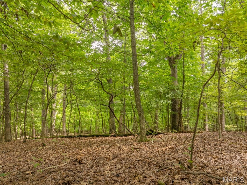 One of the largest cottage lots available at Innsbrook! This exceptional property offers 4 acres of privacy, beautiful views, and plenty of room to create your own retreat. Tucked away at the end of a quiet street, the lot backs to common ground and a community hiking trail, providing a peaceful setting with a real sense of seclusion. The natural slope lends itself well to a home with a walk-out lower level, while the wooded surroundings offer some really impressive views of the surrounding landscape, particularly during the winter months. One of the biggest advantages of this lot is the flexibility it offers. There is no required building timeframe, so you can purchase the property now and hold it as long as you'd like before building. When you're ready, Innsbrook serves as the general contractor for construction. Building guidelines and restrictions apply. Enjoy blacktop road access and a convenient location near the boat launch on Lake Alpine and the sand beach on Lake Kitzbuhl. Take your time, dream big, and build when you’re ready.