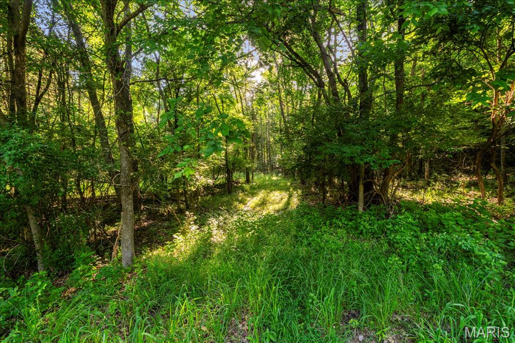 Black Bear Ridge Estates - Land
