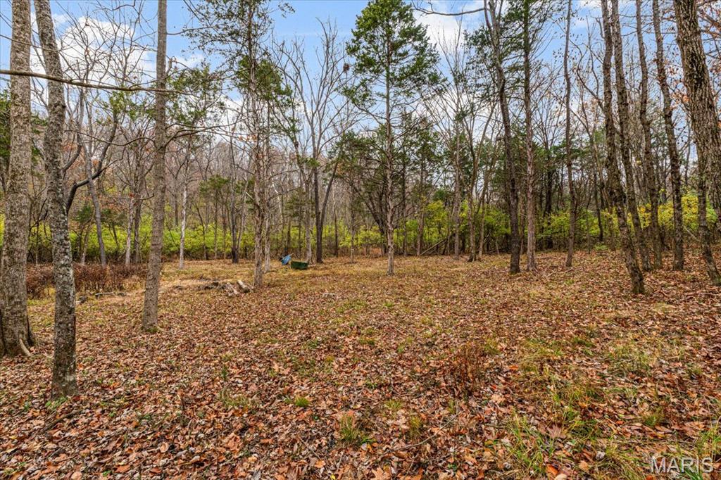 Black Bear Ridge Estates - Land