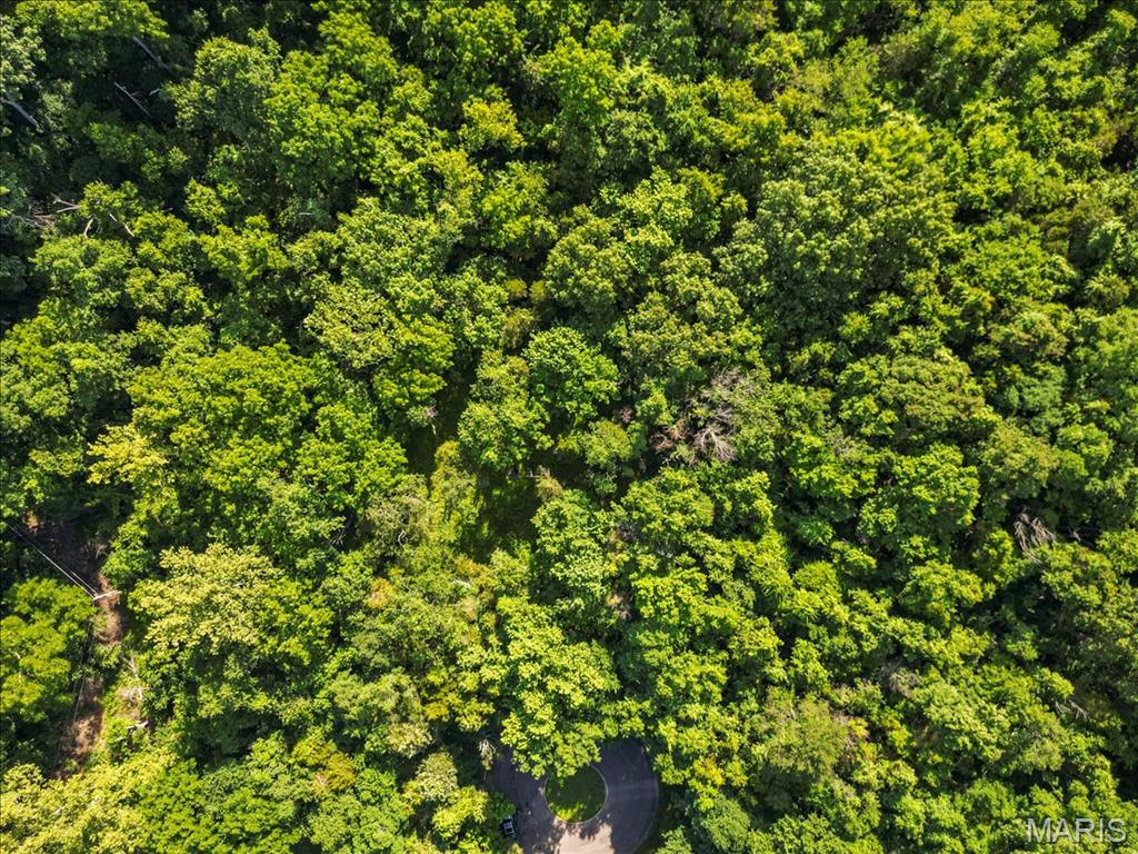 Black Bear Ridge Estates - Land