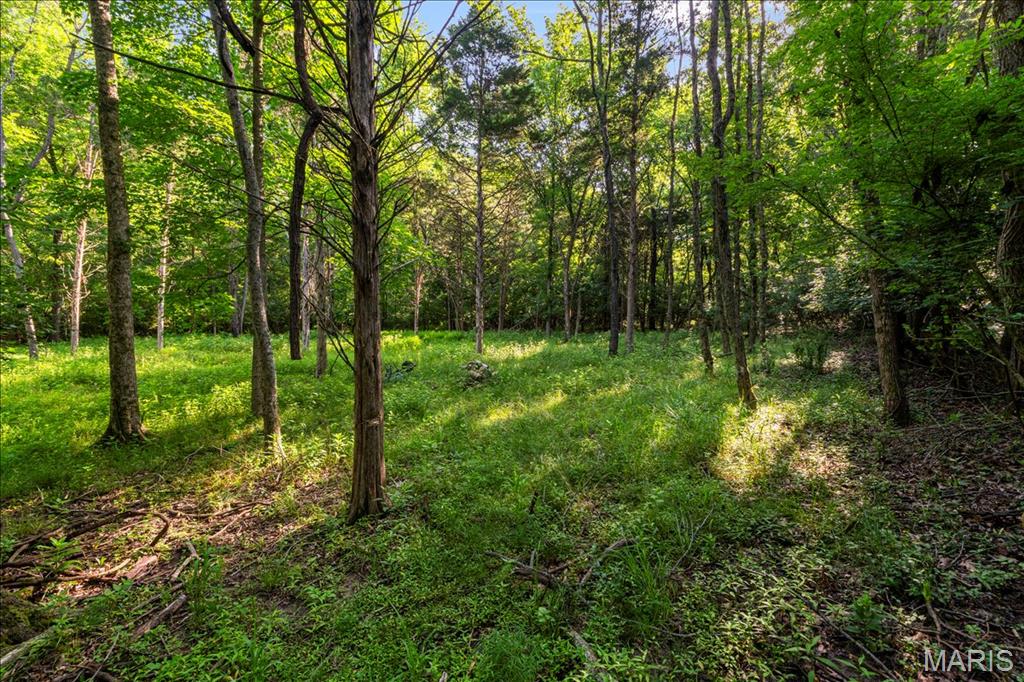 Black Bear Ridge Estates - Land