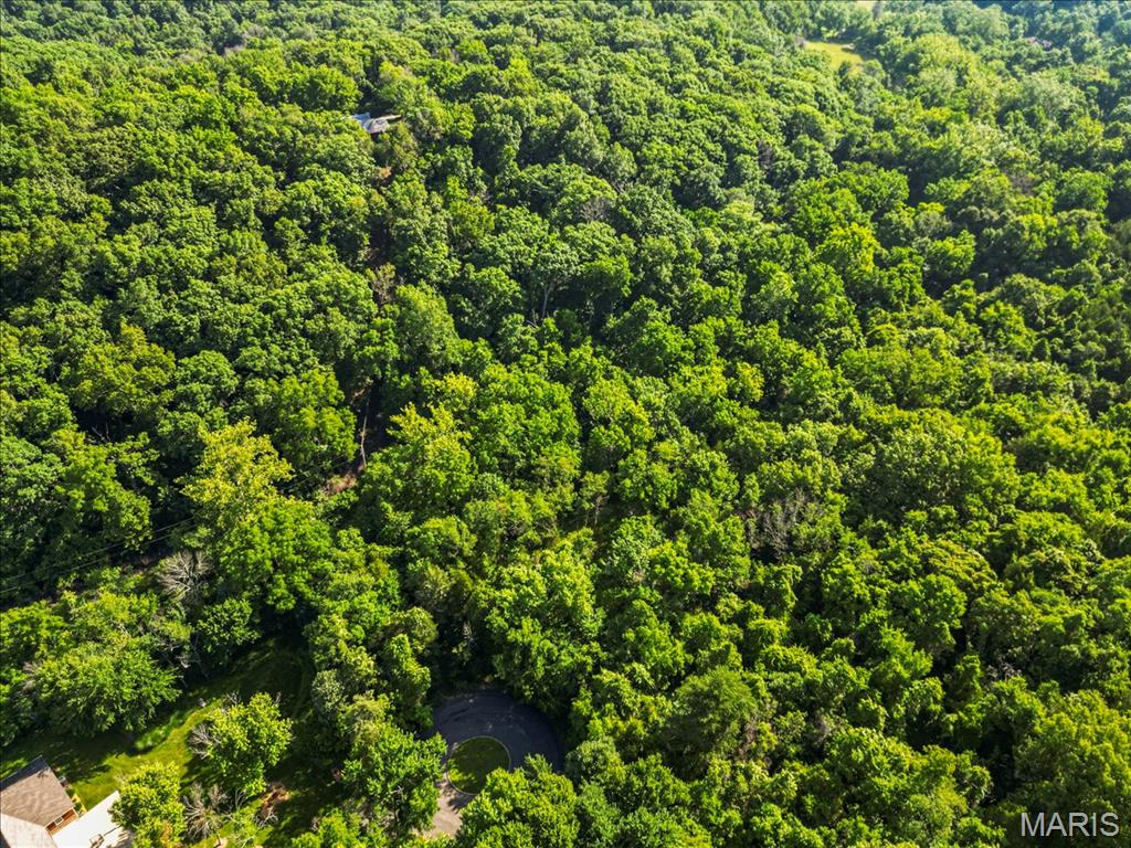 Black Bear Ridge Estates - Land
