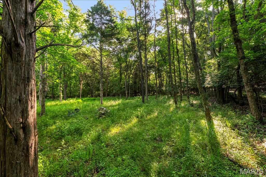 Black Bear Ridge Estates - Land