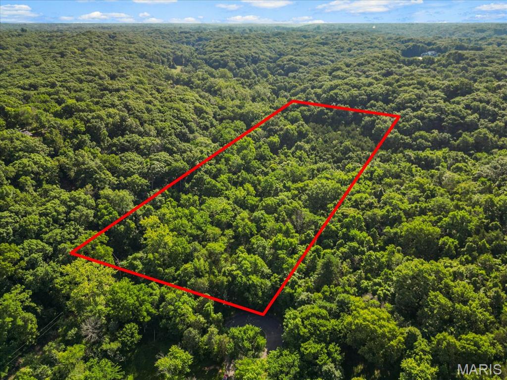 Discover a rare and coveted chance to build your custom home on nearly five wooded acres in sought-after Black Bear Ridge Estates. Tucked at the end of a private cul-de-sac, this exceptional property delivers the kind of tranquil, secluded setting that’s almost impossible to find—towering trees, unmatched privacy, and wildlife all around.
While the surroundings feel like your own private retreat, you’re still only minutes from St. Albans, top-rated dining, boutique shopping, and all the conveniences that make Wildwood one of the most desirable places to live. The neighborhood features custom homes approaching $1.5M, offering an elevated environment for your future build.
Located in the highly acclaimed Rockwood School District with Lafayette High School, this property blends luxury, location, and lifestyle. A stunning acreage opportunity for those seeking both privacy and proximity—truly one you won’t want to miss.