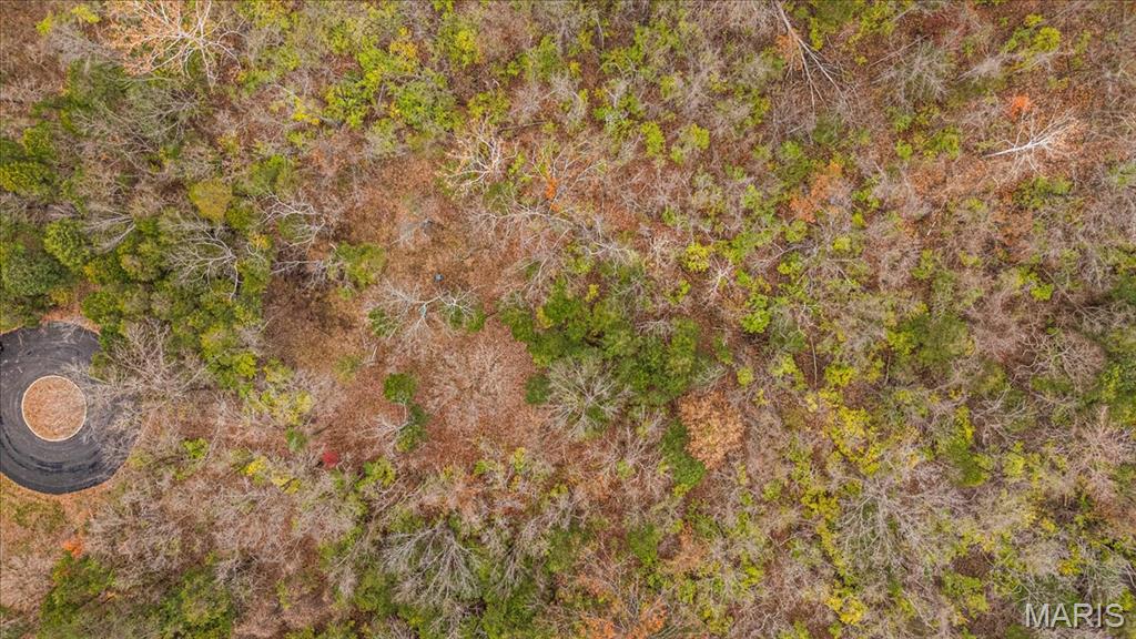 Black Bear Ridge Estates - Land