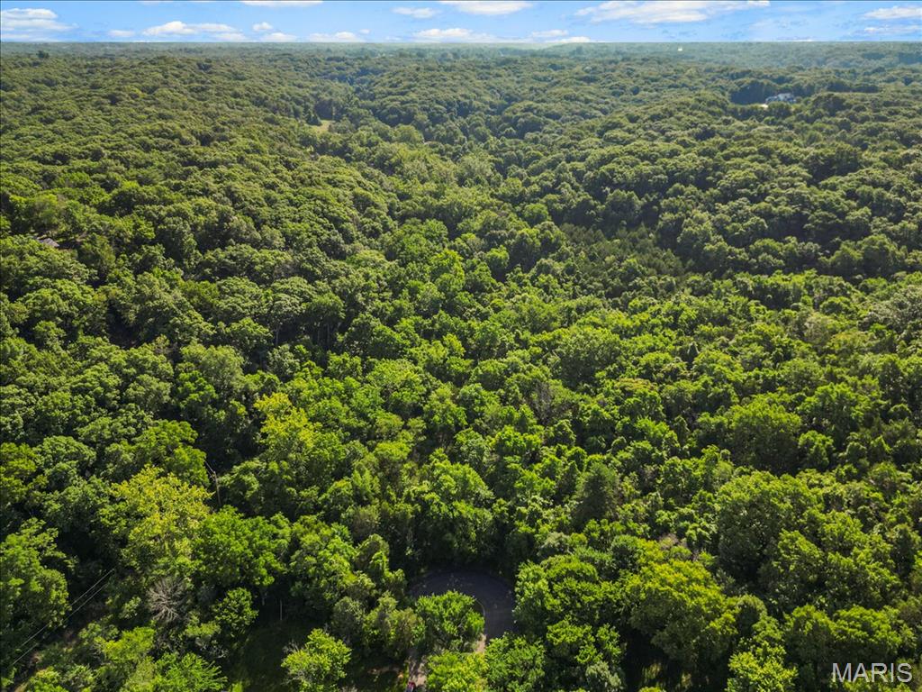 Black Bear Ridge Estates - Land