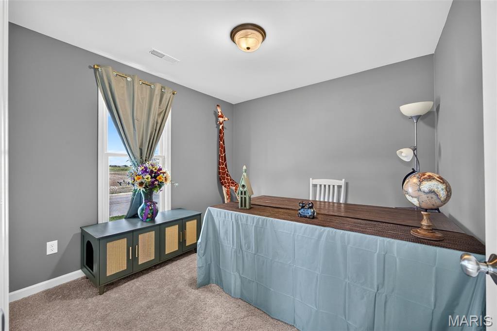New Town At St Chas #12 - Residential