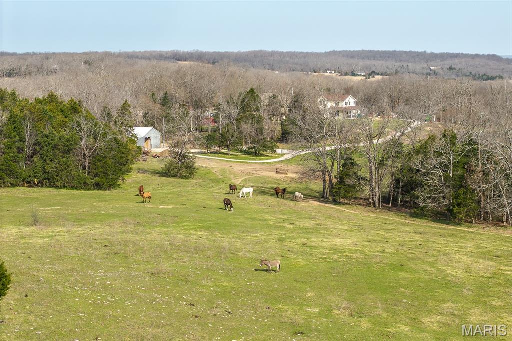 Rural - Residential