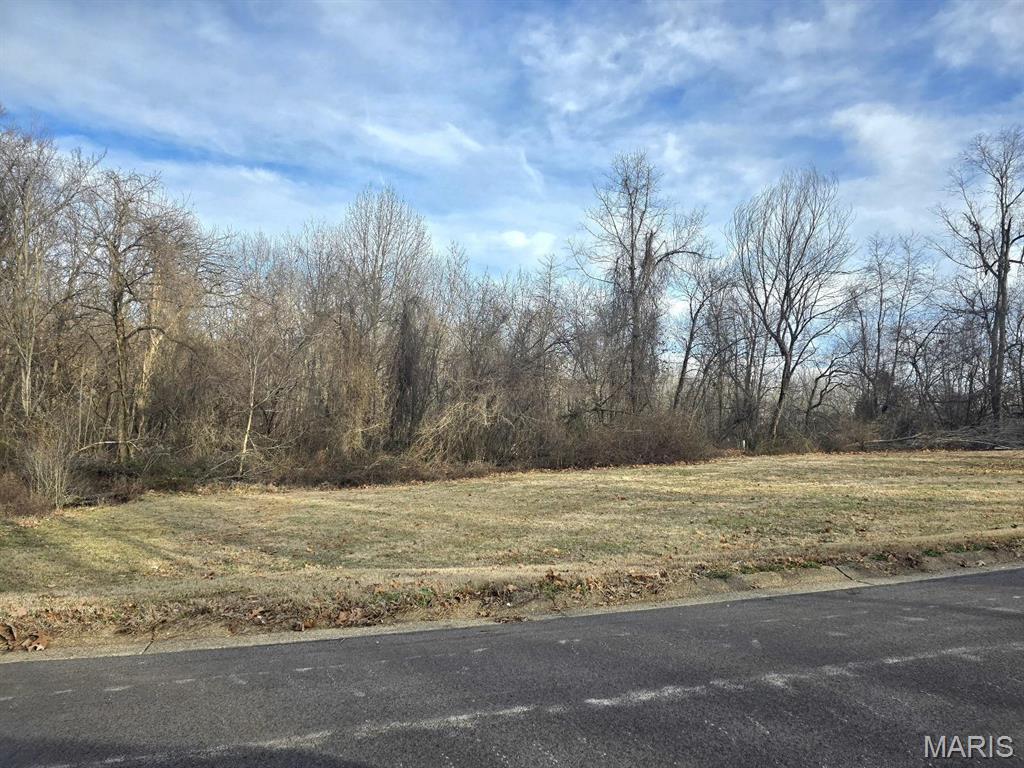 Are you searching for a "piece of land' to build your dream home with a walkout basement?  This is the perfect lot for you to break ground and begin building your "forever home".  Located in an established neighborhood, just minutes away from local shopping, parks, and restaurants.  This lot has been cleared and is located on a paved road.  City sewer, city water, and electric are all nearby for your connections.  Don't miss this opportunity to have your property ready to begin building your home when spring arrives! Additional Rooms: In Platted Subdv.