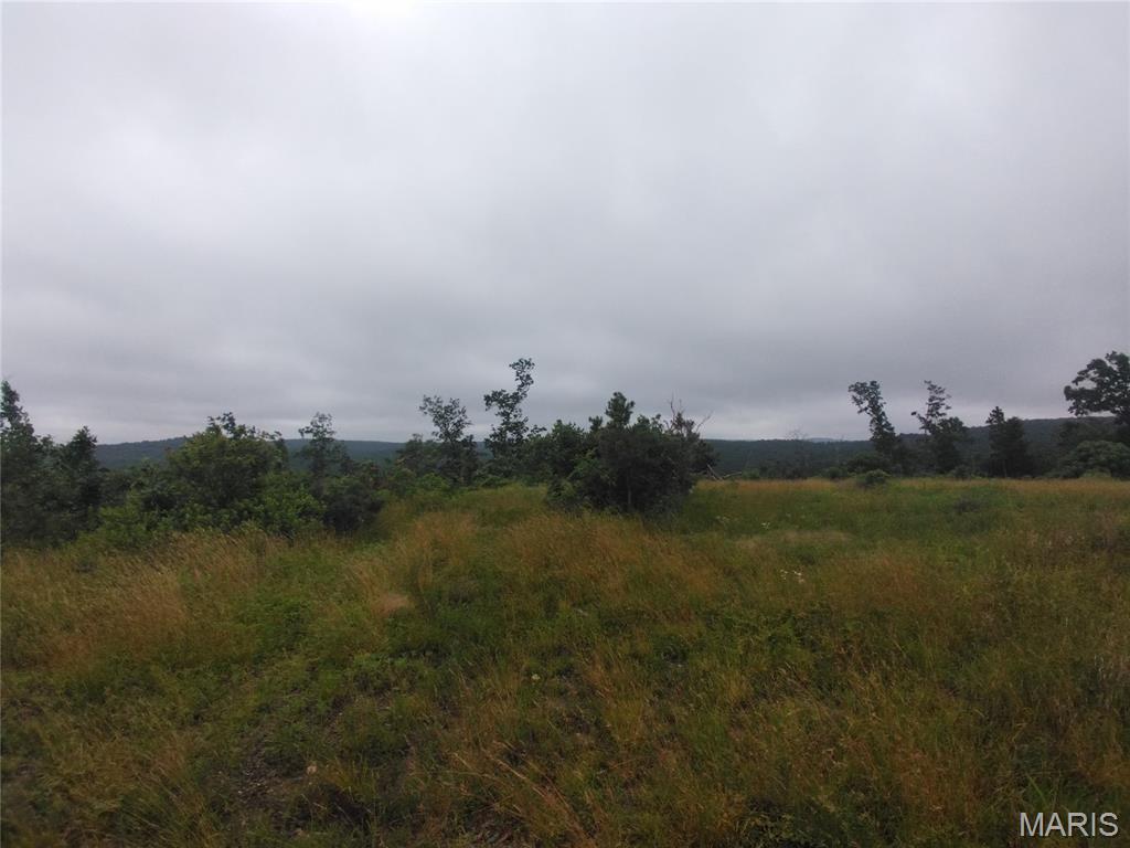 Take a look at this 16.07 +/- surveyed acre tract located off Highway O in Belleview, Missouri. Featuring beautiful Ozark scenery, abundant wildlife, and a private setting, this property is well-suited for recreation, hunting, camping, or future development. Conveniently located near Elephant Rocks State Park, Johnson's Shut-Ins State Park, and Shepherd Mountain Bike Park, you'll have easy access to some of Missouri's premier outdoor attractions. Whether you're seeking a weekend retreat or a place to build your forever home, this versatile property offers endless possibilities in the heart of the Ozarks.
