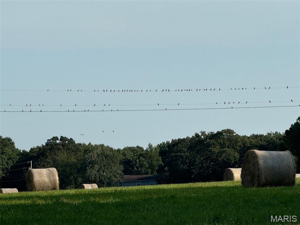 NA - Farm