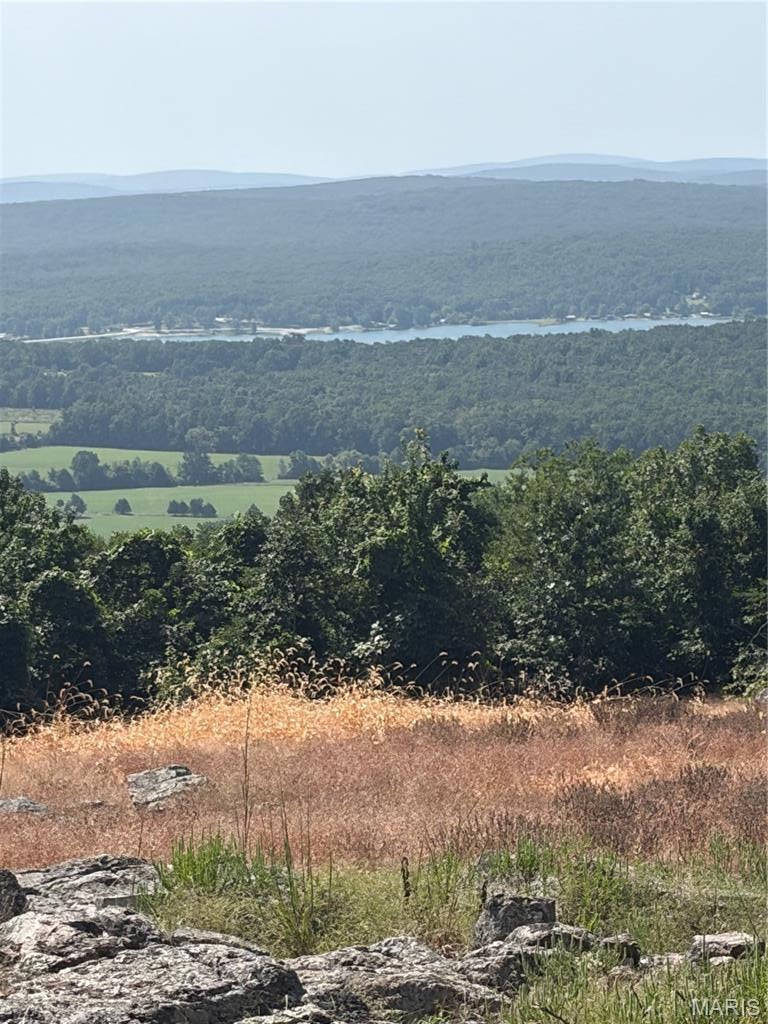 MISSOURI MOUNTAIN LAKE VIEW!!!! Escape to Your Own Private Mountain Getaway! This beautiful property offers the perfect opportunity for a weekend retreat, hunting getaway, or the ideal location to build your new home. The property was timbered over 35 years ago and has since developed into a mature, wooded setting offering privacy, abundant wildlife, and beautiful mountain and lake views. A 2020 41-foot Park Model RV, 40RLTS floor plan, is already in place and features three slide-outs, a king-size bed, theater seating, and comfortable living accommodations. Enjoy the property while planning your future home or simply use it as your private getaway. Outdoor enthusiasts will love the abundant wildlife, including deer, turkey, and other small game, along with ATV trails and hiking trails throughout the property. Mud Creek provides seasonal water, adding to the beauty and recreational appeal of the land. The property also includes electricity, a 16' x 24' barn, outhouse, and a raised walking platform featuring a unique treehouse-perfect for enjoying the outdoors and creating lasting memories. Whether you're looking for a hunting retreat, recreational property, weekend escape, or a place to eventually build your dream home, this property offers the privacy, scenery, wildlife, and outdoor recreation you've been looking for!
