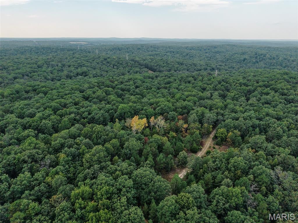 250.96+/- acres of timber in Washington County, Missouri, six miles from Potosi, with access by easement off Delbridge Road. The tract is mainly hardwood timber, white and red oak with scattered hickory, and includes some marketable timber. The oaks are the food source on this ground for the resident deer, turkey, and small game. A power line easement runs along the north side and can be used as a food plot. More than two miles of established trails run through the timber, so you can cover the bulk of the tract by ATV, on horseback, or on foot. The terrain is ridges and hollows with over 100 feet of elevation change between them. If you are in the market for a secluded timber tract, reach out today for your own private tour.
