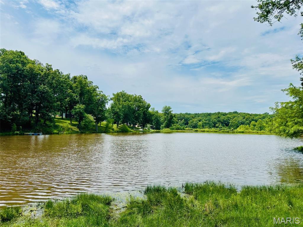 Ware Lake - Land