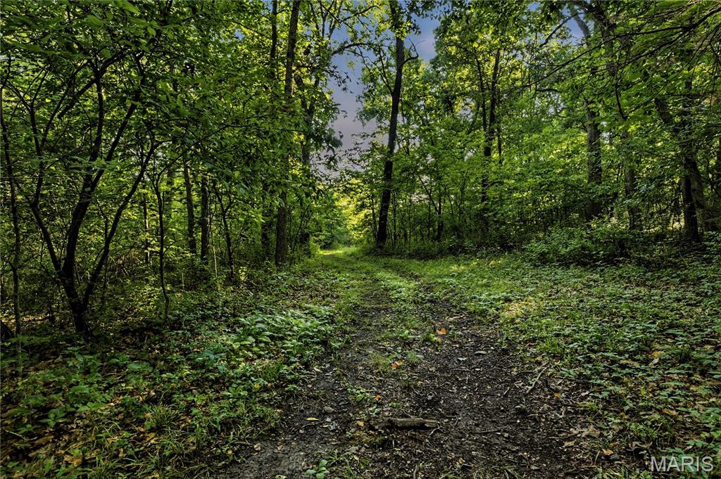 Casmer Branch Estates - Land