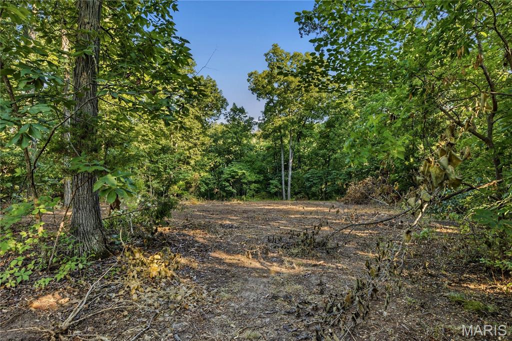 Casmer Branch Estates - Land