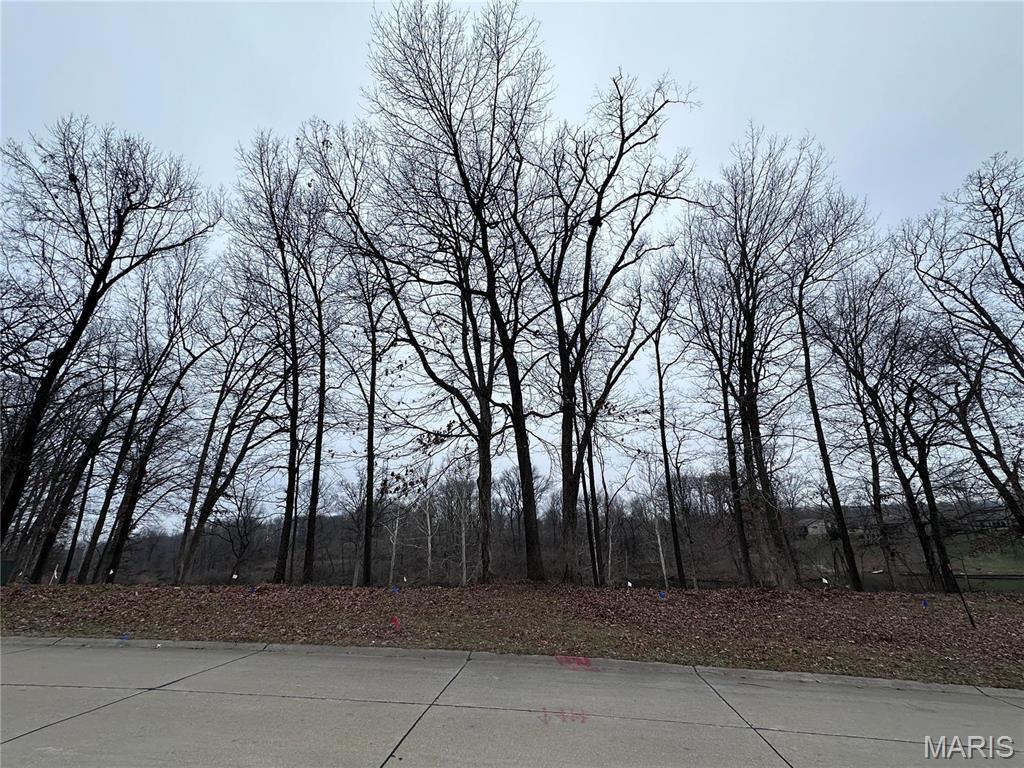 Stonebridge Woods - Land