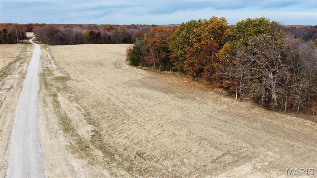Polston Farms - Farm