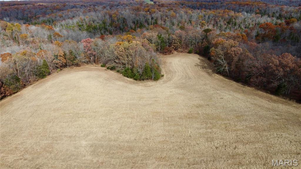 Polston Farms - Farm