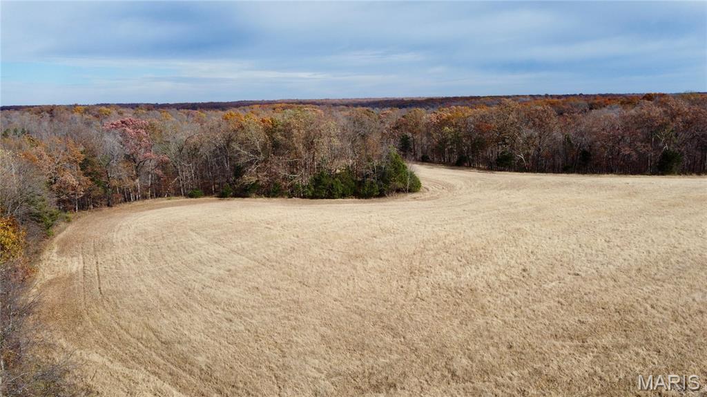 Tract 3

Multiple tracts available ranging from 22-40 acres. You can buy one or combine multiple tracts! Finding the right property to build your dream home has many factors with location being a top one. The privacy of this property gets you away for the serenity you dream of but still within 30 minutes to Washington, Wentzville or Warrenton, MO. 

The location of Polston Farms is incredible but the views are hard to beat as well. With a newly constructed road onto the farm that leads you to the 12 lots of many different sizes. Each tract has its own unique attributes but they all have one thing in common, seclusion! Each lot has electric and are build ready if you decide to do so. Minimum restrictions along with a road agreement. Don't miss out on your chance to own one of these tracts to build or just to getaway!