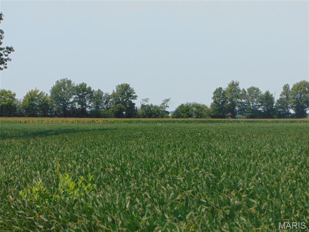 This is your opportunity to own acreage rurally and still be close to town. If you expanding your farming operation or looking for a homesite this could be it. This 14 acres+/- is currently in agricultural use with a few trees at the northern edge of the property. There are no utilities on the property and an access road will need to be constructed off Highway 14.