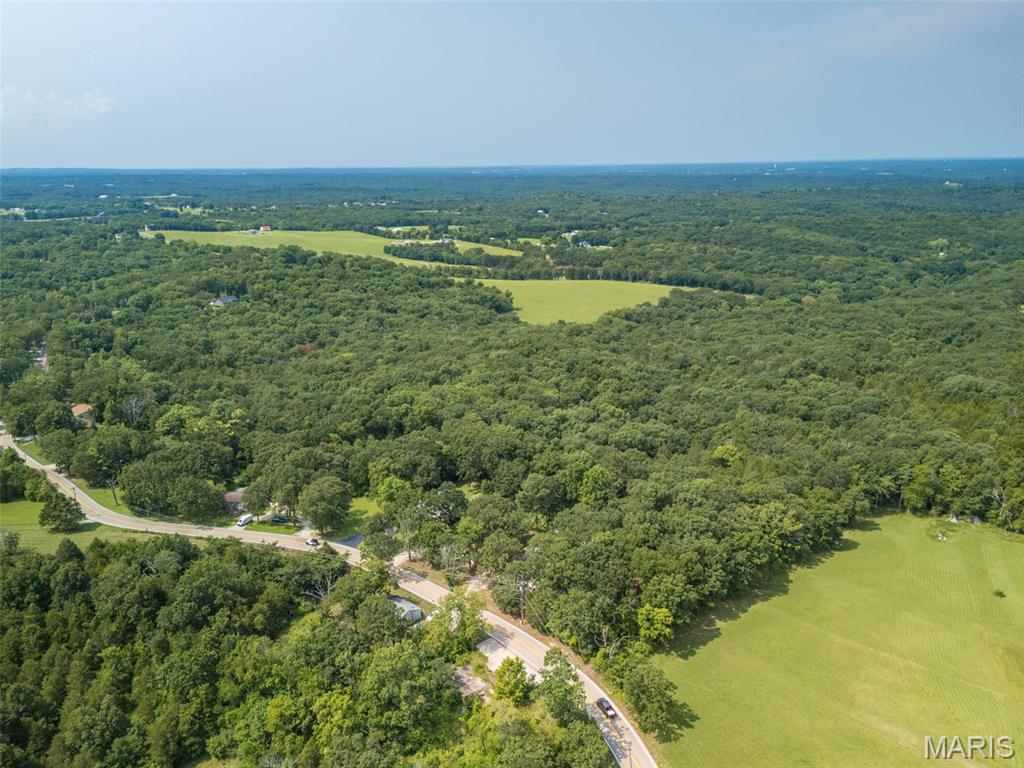 LOCATION! LOCATION! LOCATION!  40+/- acreage in Festus with public water, a tremendous amount of the straightest, mature timber AND the option between two different access points to the paved county road, Carron.  A portion of this property is located in De Soto & Festus School Districts.  Seller is willing to subdivide OR sell additional adjacent acreage.  A new survey will be provided at closing.  CHECK OUT OUR DRONE VIDEO VIEW!