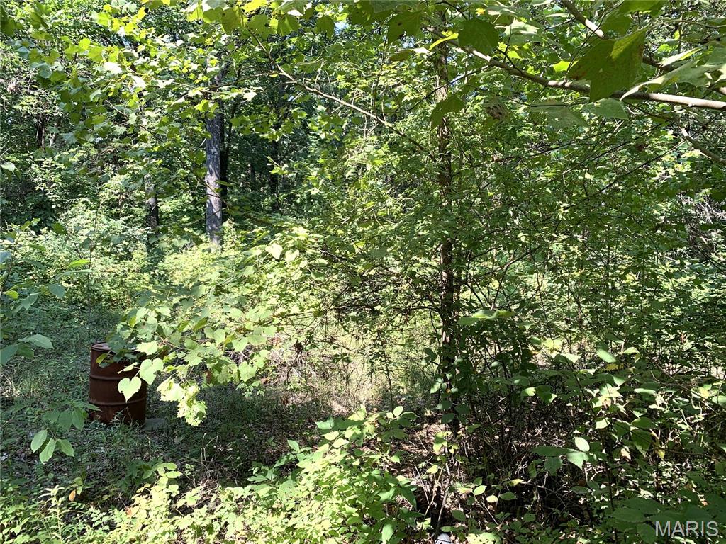 Whispering Valley - Land