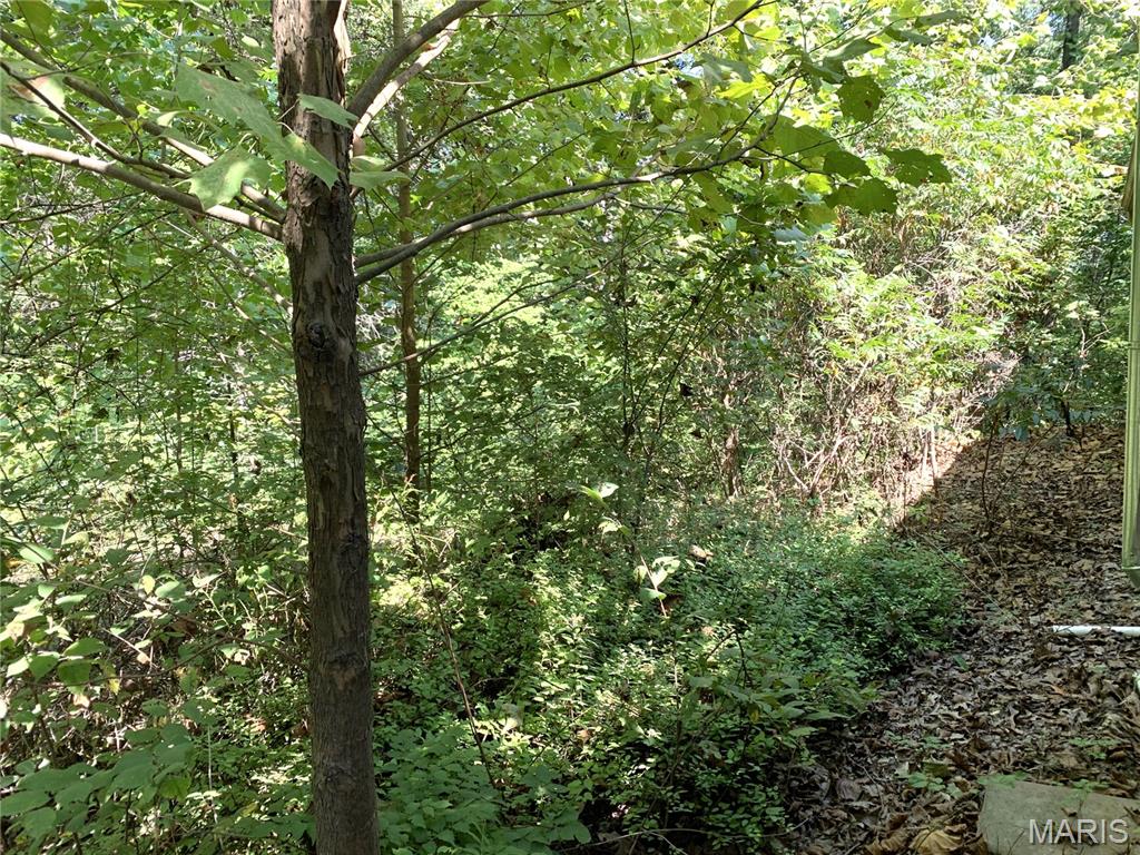 Whispering Valley - Land