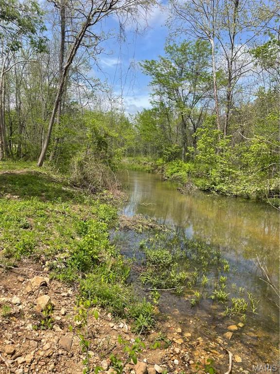 Are you looking for a place to build home or a recreational get a away? Here it is... This 21.3 +/- has Sinking Creek flowing through and is connected to thousands of Mark Twain National Forest acres. There are sweet spots nestled near the creek that would be amazing camping sites. The front pasture is over 6 acres and out of the flood plain. Offering a strong blend of productivity and recreation. The mostly open pasture has a proven history of quality hay production, supported by fertile soils and functional fencing—well-suited for horses, cattle, or other livestock. Sinking Creek provides a reliable year-round water source along with natural beauty. Electric runs along the length of the property, creating an excellent foundation for your future home or farmstead.
This tract borders Mark Twain National Forest, giving you direct access to thousands of acres for trail riding, hunting, and outdoor exploration. Located just minutes from the Current River, this is an ideal setup for those seeking both agricultural use and recreational lifestyle. This is Track #1 divided off MLS parcel #26002449