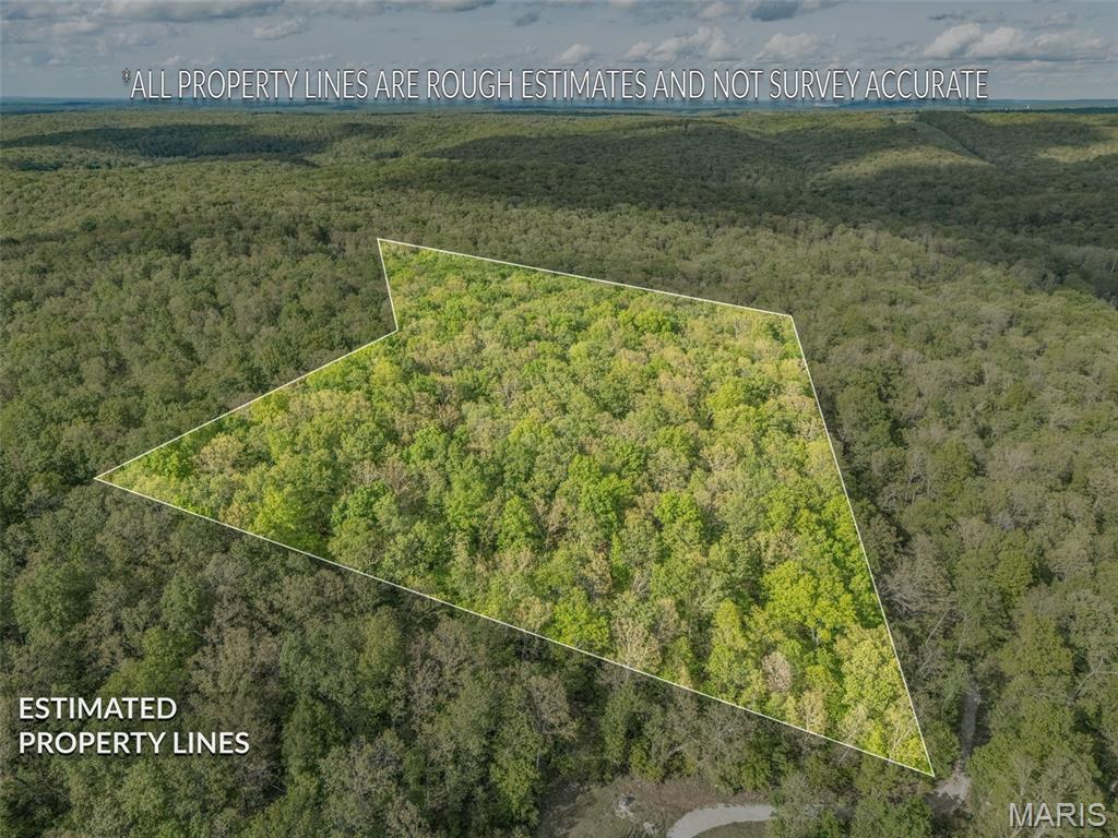 Nearly 10 acres ready for your dream! Privacy and seclusion surround this space. Survey has been completed as well as perc Test. Undeveloped No restrictions. This property is located off of a gravel/dirt road roughly a quarter mile from Koester Springs road which is an Asphalt rd. Bring your dreams and ideas to this slice of paradise!