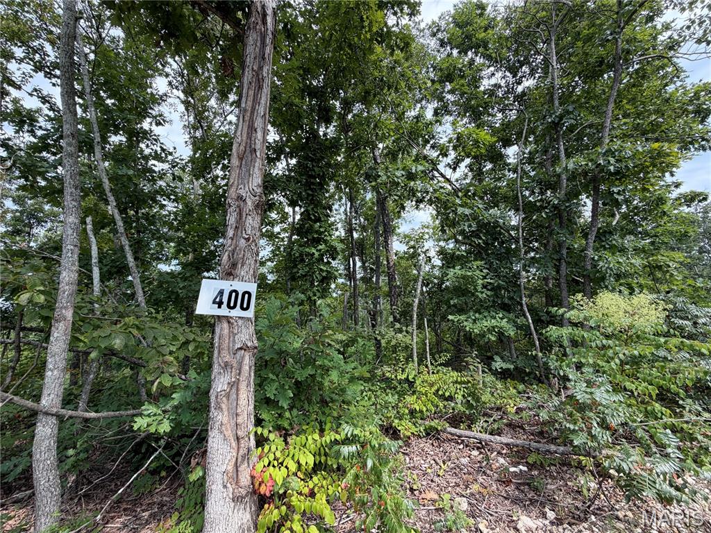Discover the beauty, freedom, and tranquility of the Missouri Ozarks with these exceptional land offerings located south of Fredericktown, just off Highway 67 and near the Mark Twain National Forest. With multiple tracts and a variety of acreage options available, there is an opportunity to find the perfect piece of land to fit your vision. The nearby Mark Twain National Forest offers more than 22,000 acres of public land to explore, adding even more opportunity for outdoor adventure and recreation.
Many of these affordable wooded pieces offer beautiful natural surroundings, with select tracts featuring creek access, springs, and scenic views of the surrounding Ozark landscape. With no restrictions, you have the freedom to enjoy your property your way—whether that means hunting, primitive camping, building, riding ATVs, or simply finding a peaceful place to escape the pressures of everyday life. These tracts also offer access via a deeded easement gravel road leading from the county road to the property, while nearby Twelve Mile Creek provides additional opportunities to fish, explore, and enjoy the outdoors.
This is your chance to unplug, reconnect with nature, and enjoy the freedom and beauty of the great outdoors in Southeast Missouri. Whether you're searching for a private hunting retreat, a weekend getaway, a place to camp and explore, or land to create your own outdoor escape, there are many amazing tracts to choose from. Call today for more information and to explore the available options!