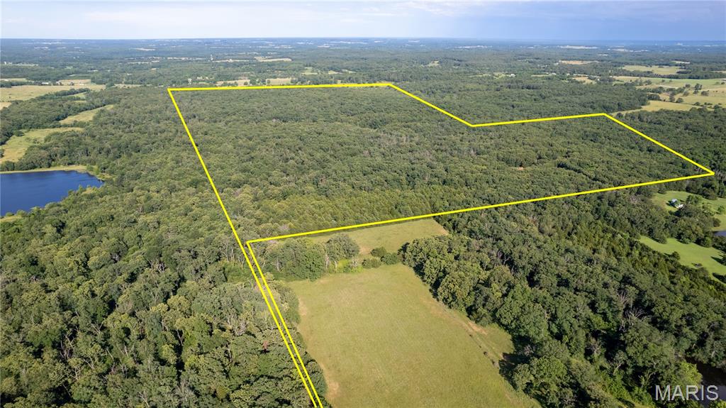 Looking for the ultimate hunting and recreational land, this place has it all! 201 acres of wooded land, large marketable timber, wildlife galore, 3 bedroom, 2 bath mobile home in fair condition (needs floor covering), large spring fed pond, wet weather springs, great building sites, seclusion for shooting or play, and so much more. See today!