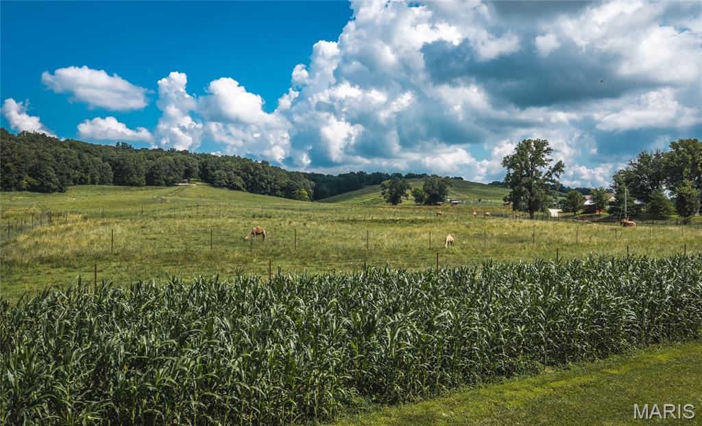 n/a - Farm