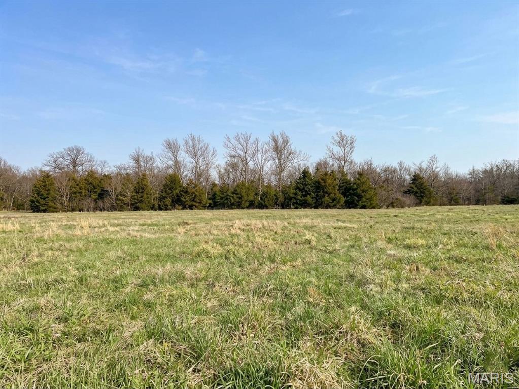 Meadowhaven - Land