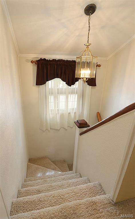 Upper Carlyle - Residential