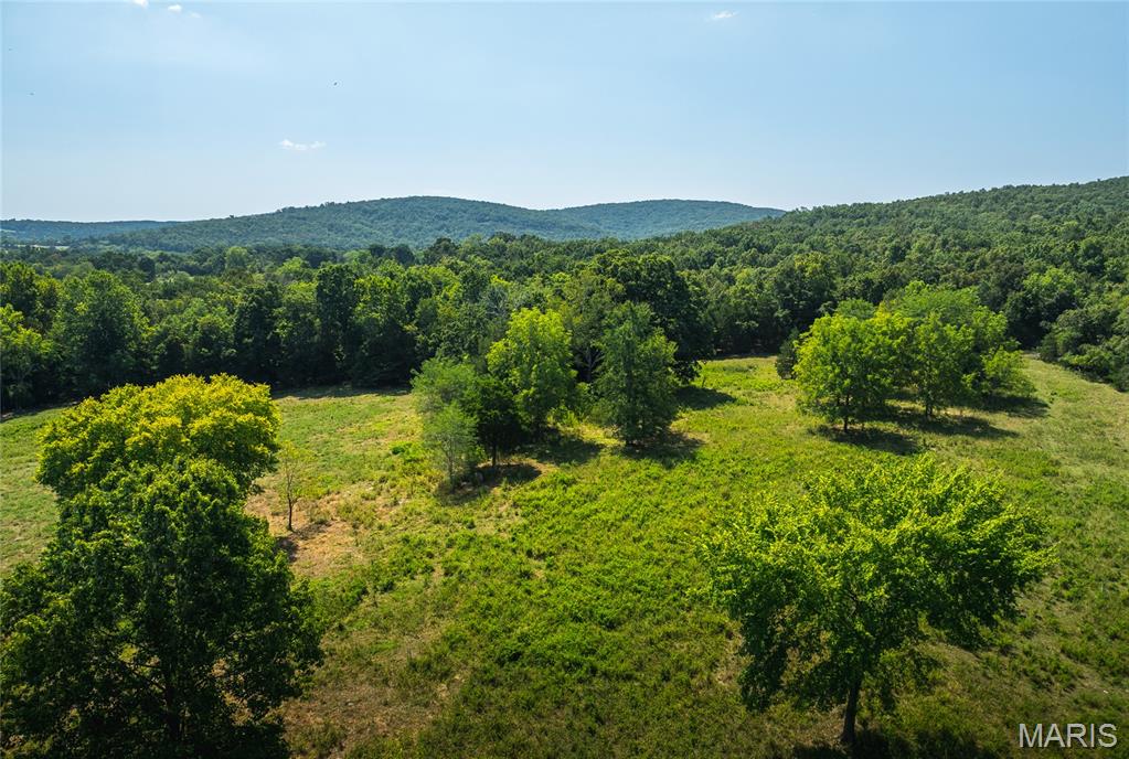 Roselle - Farm