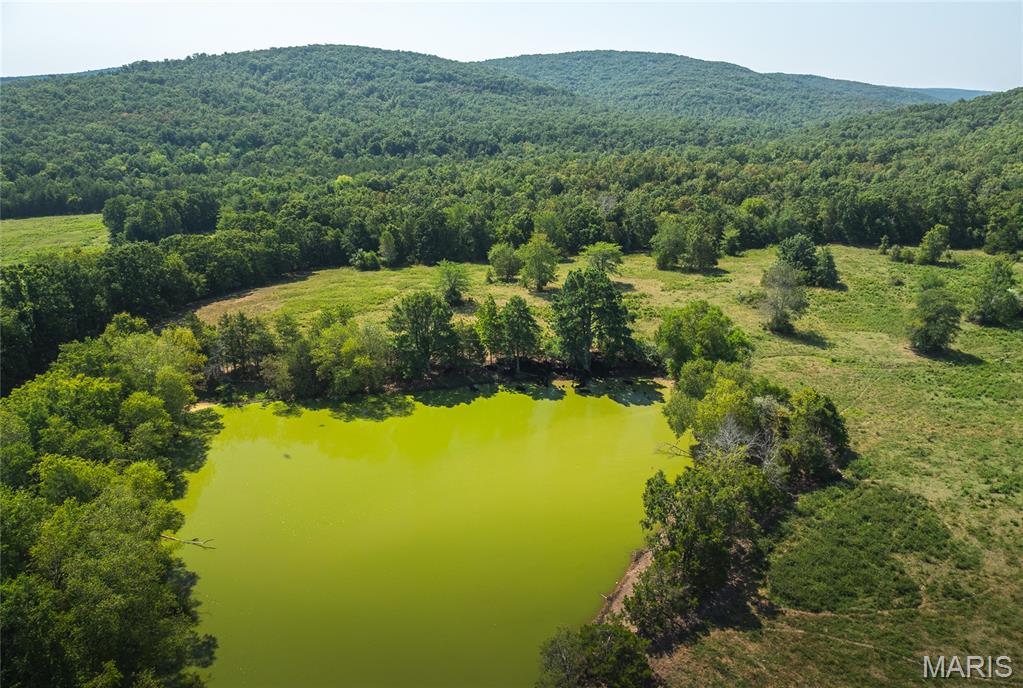 Roselle - Farm