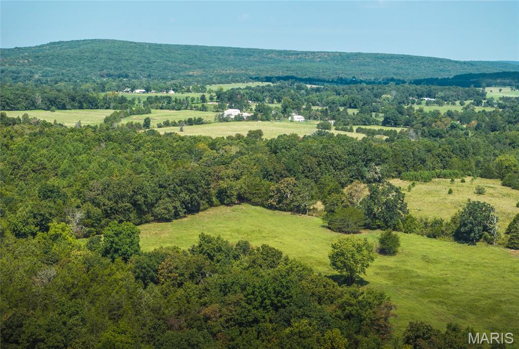 Roselle - Farm
